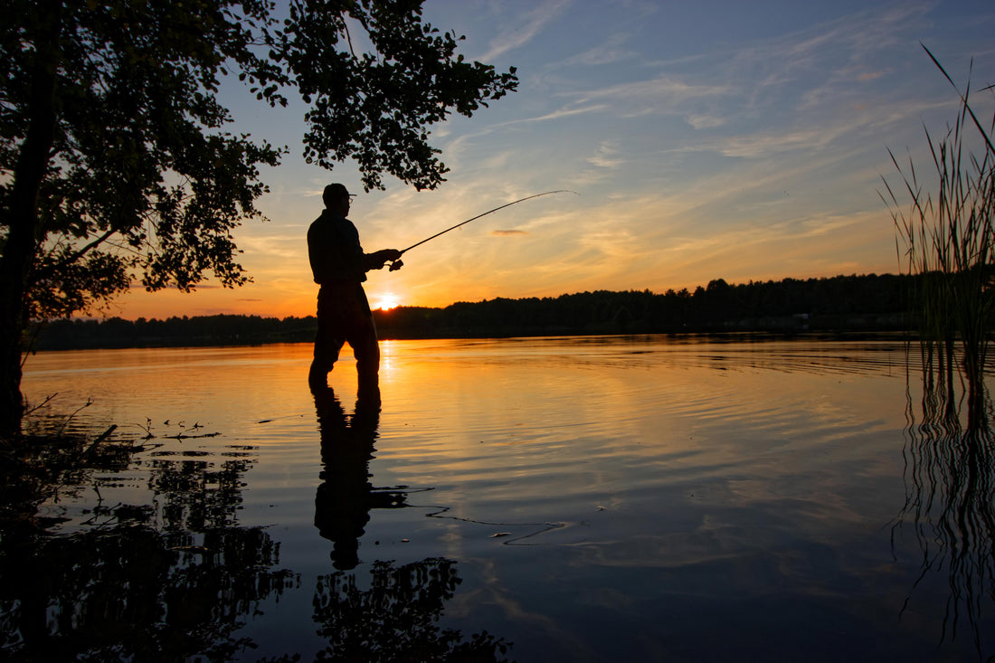 The Passionate Fisherman: Unveiling the Thrill of the Hook.